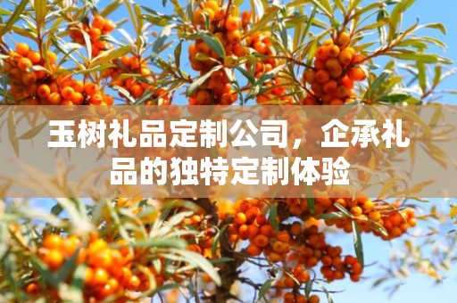 玉树礼品定制公司，企承礼品的独特定制体验
