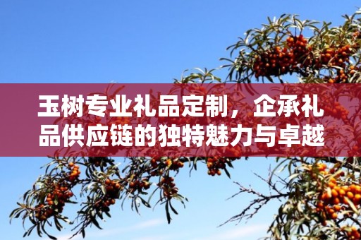 玉树专业礼品定制，企承礼品供应链的独特魅力与卓越服务