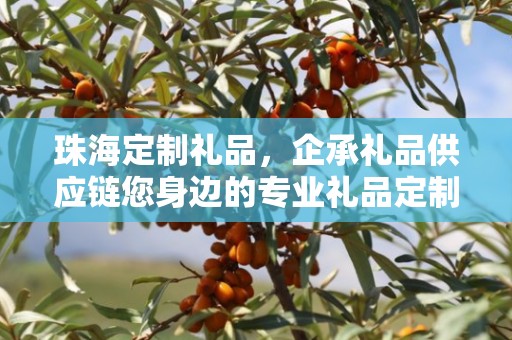 珠海定制礼品，企承礼品供应链您身边的专业礼品定制公司