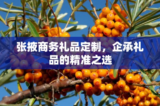 张掖商务礼品定制，企承礼品的精准之选