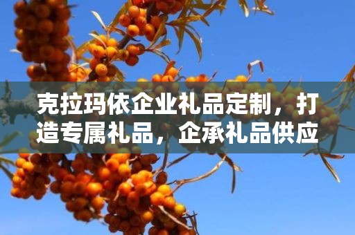 克拉玛依企业礼品定制，打造专属礼品，企承礼品供应链卓越服务