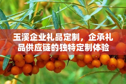 玉溪企业礼品定制，企承礼品供应链的独特定制体验