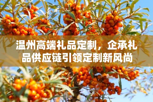 温州高端礼品定制，企承礼品供应链引领定制新风尚