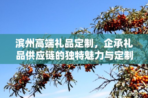 滨州高端礼品定制，企承礼品供应链的独特魅力与定制之旅