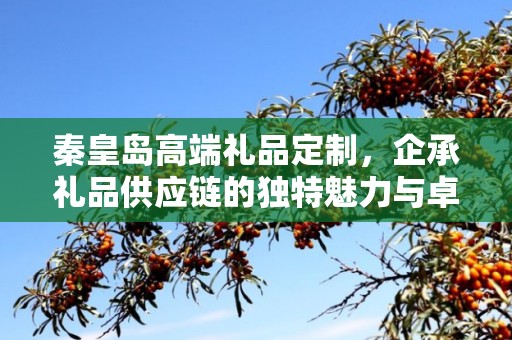 秦皇岛高端礼品定制，企承礼品供应链的独特魅力与卓越服务