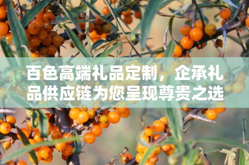 百色高端礼品定制，企承礼品供应链为您呈现尊贵之选