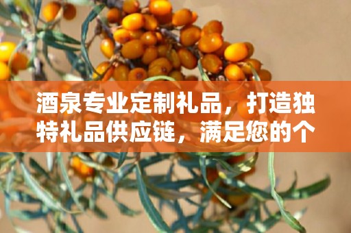酒泉专业定制礼品，打造独特礼品供应链，满足您的个性化需求