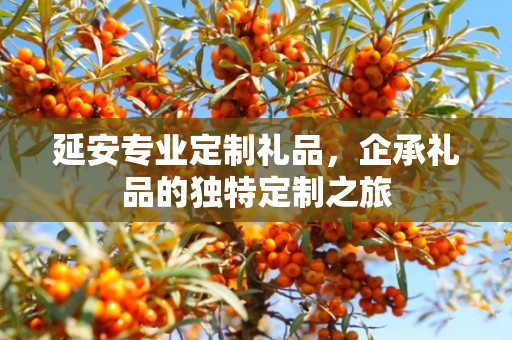延安专业定制礼品，企承礼品的独特定制之旅