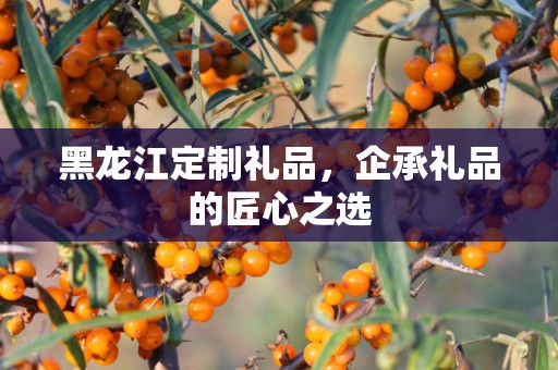 黑龙江定制礼品，企承礼品的匠心之选
