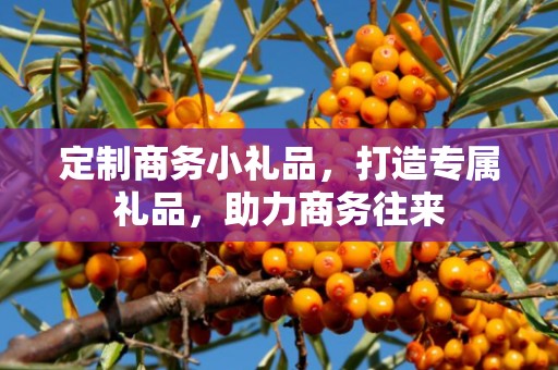 定制商务小礼品，打造专属礼品，助力商务往来