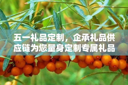 五一礼品定制，企承礼品供应链为您量身定制专属礼品