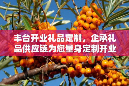 丰台开业礼品定制，企承礼品供应链为您量身定制开业礼品