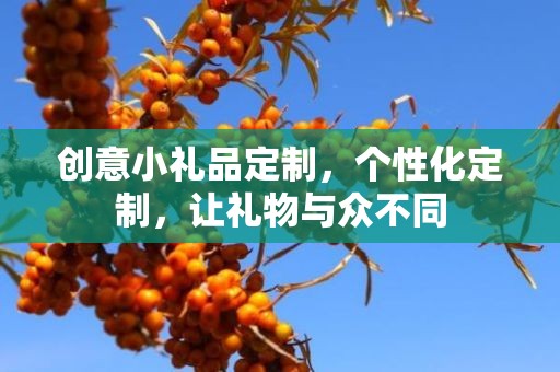 创意小礼品定制，个性化定制，让礼物与众不同